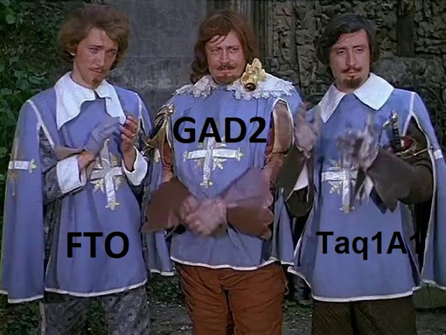 Гены психогенного переедания: GAD2, Taq1A1 и FTO
