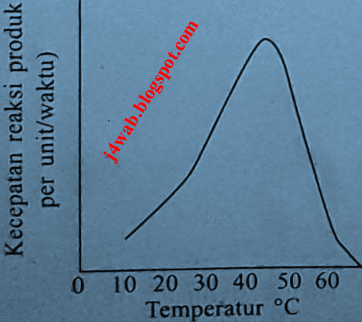 Soal Dan Pembahasan Biologi Un Sma Tahun 2018 No 21 30 J4wab