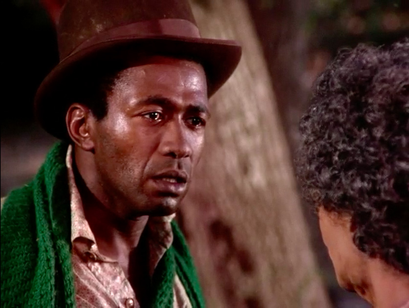 ROOTS- Raíces (1977)