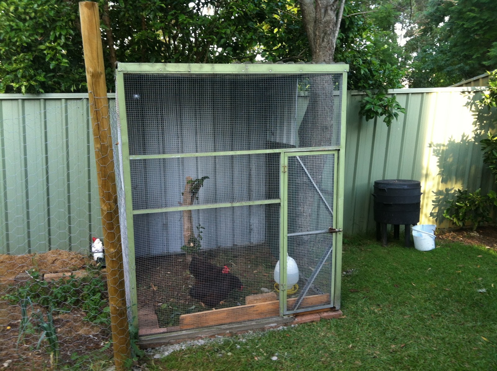 Parrot Breeding Aviary Set Up