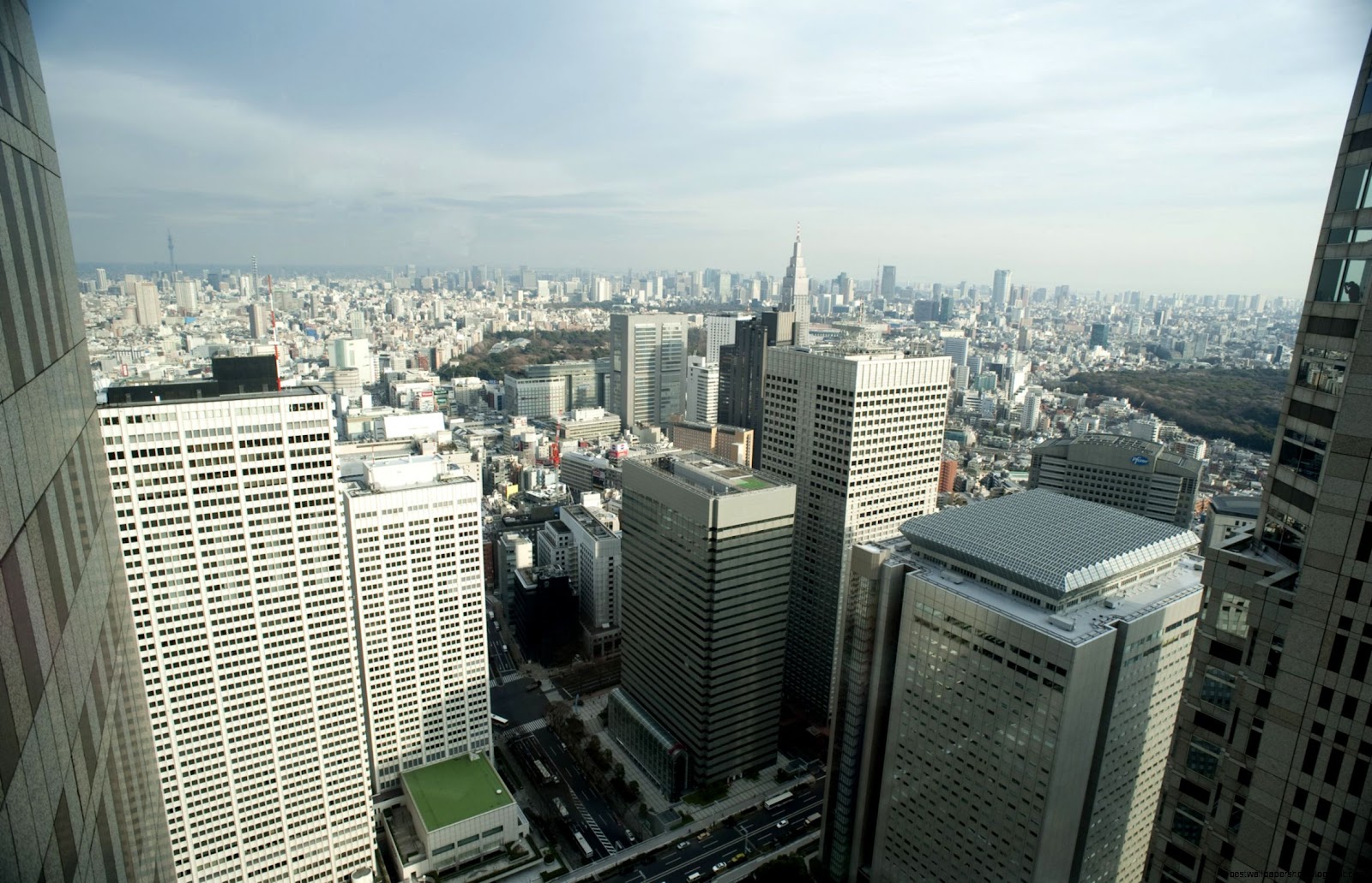 Tokyo Skyline