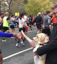 1510028607143294600.gif