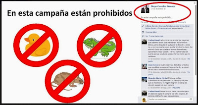 el+cartel+de+las+ratas