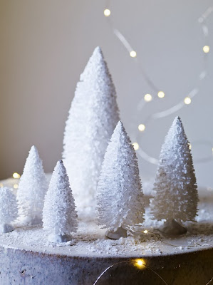 Зимнее волшебство от Cox&Cox;