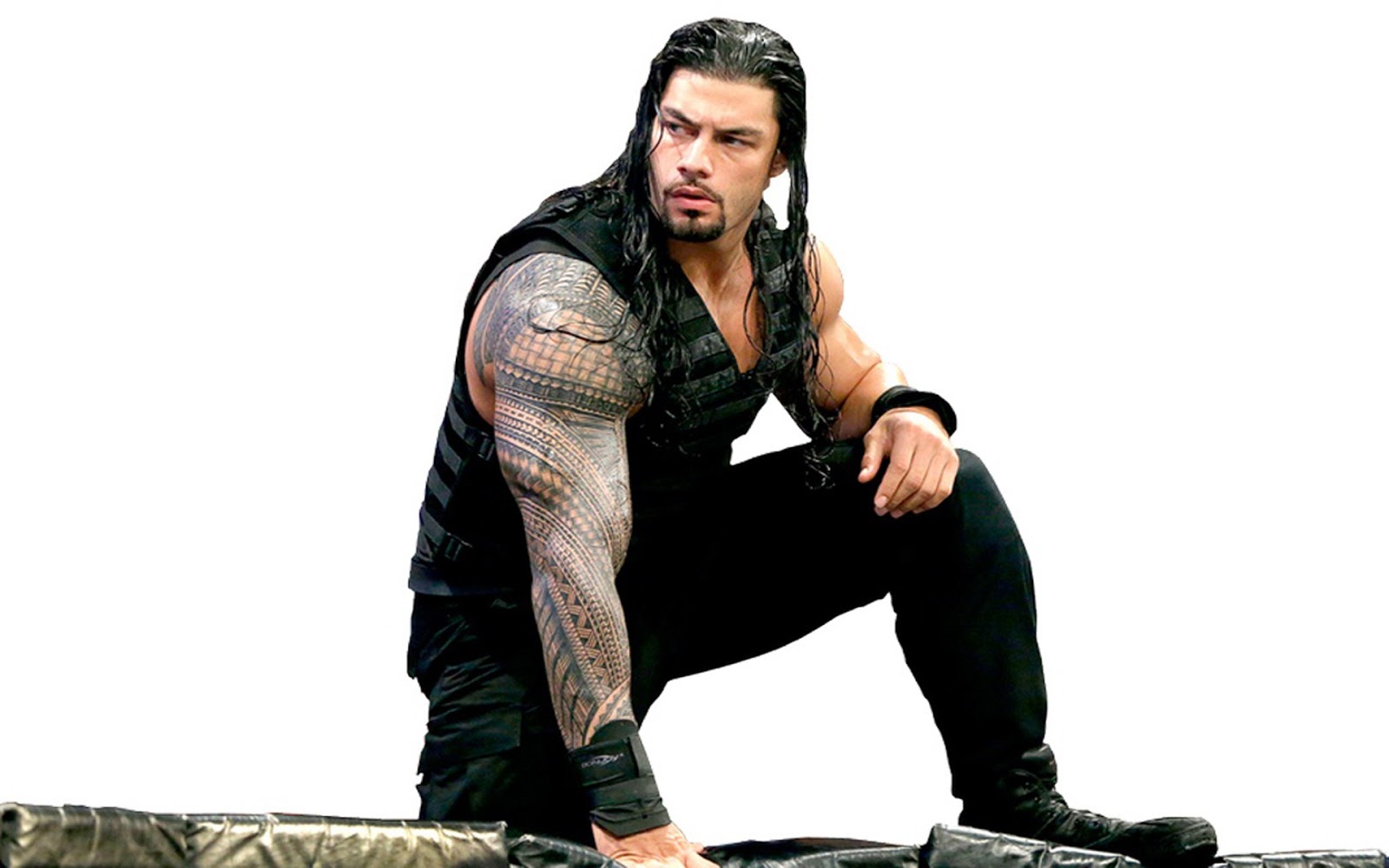 51 roman reigns photos and hd wallpaper wwe 2015 top hd wallpaper