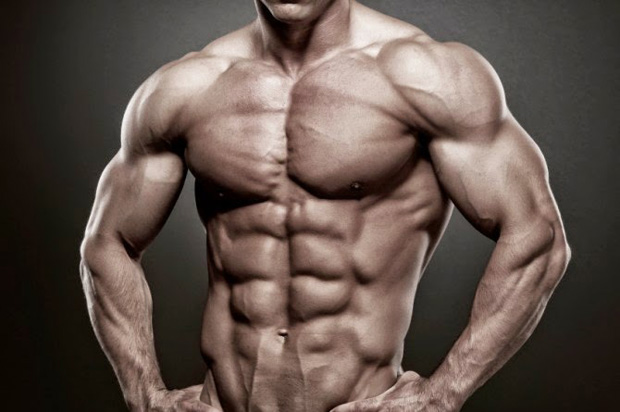 SEARCH AND BUY THIS PRODUCT Gym Workout Routines For Men - all-bodybuilding.com