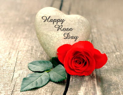 Happy Rose Day 2017 Image and Wallpaper