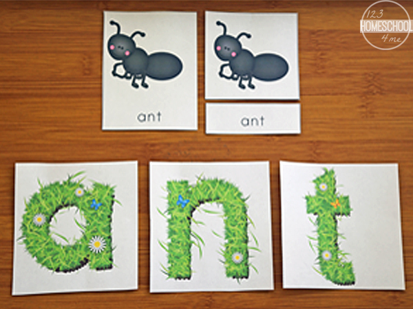 FREE Spring Preschool Worksheets