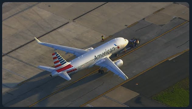 volo las vegas mccarran investito da uno stormo di uccelli e deve rientrare in emergenza