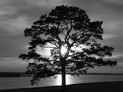 blanco paisajes negro dibujos vida pintar imagui imagenes paisaje imagen sol mi ganadora fondo bonitas arbol lindas frases infantiles tuico