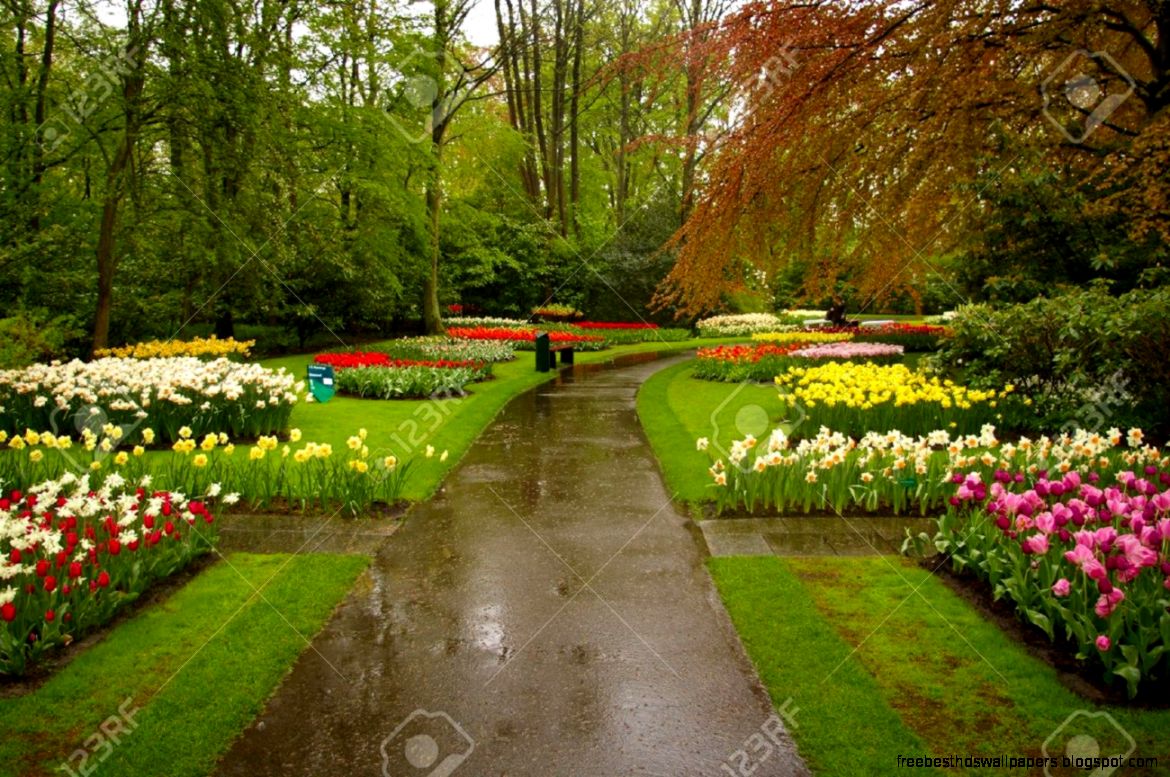 Beautiful Flowers Park