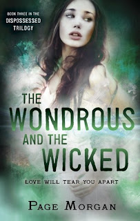 https://www.goodreads.com/book/show/21473811-the-wondrous-and-the-wicked