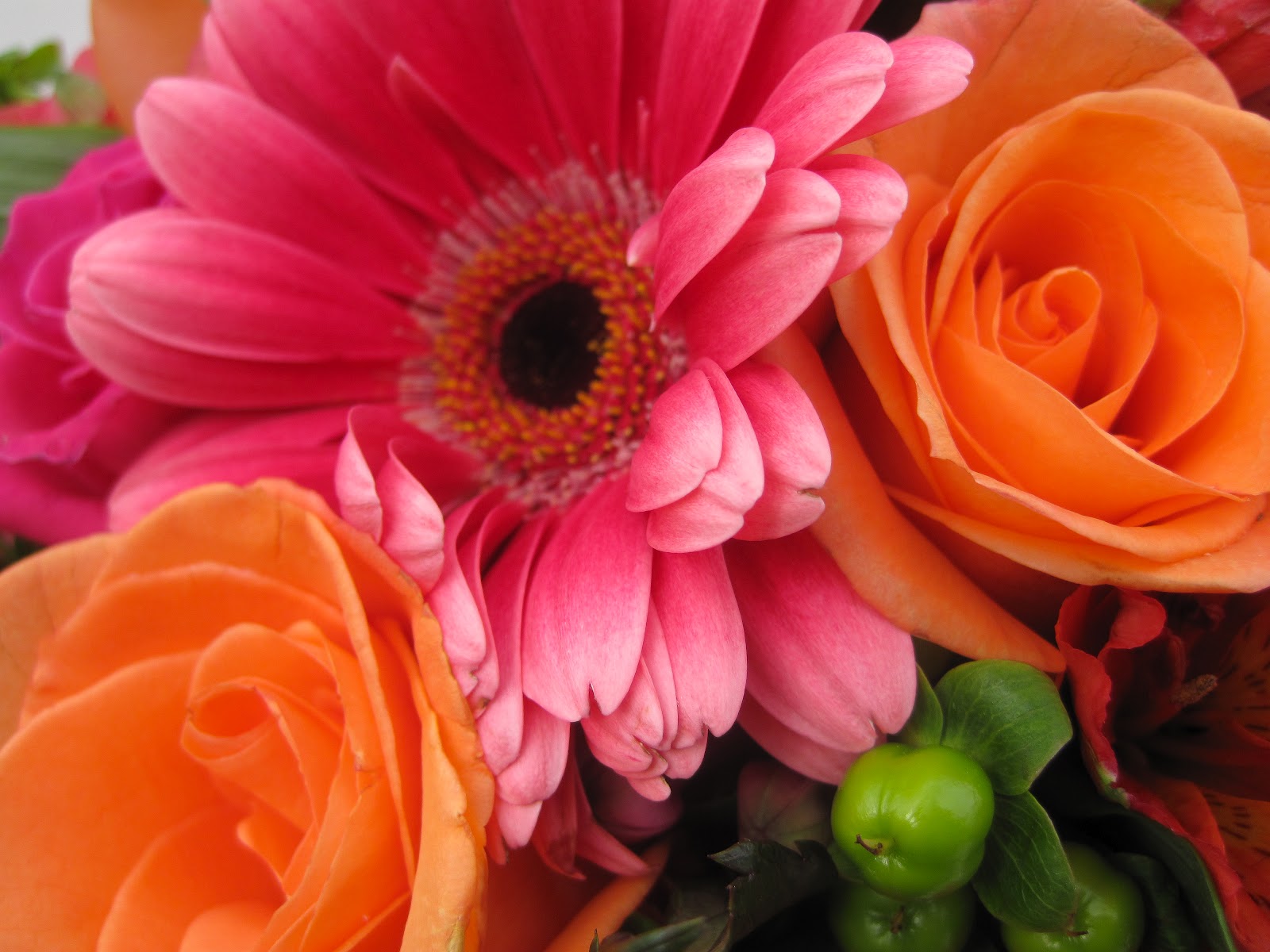 Le Flowers Pink, Green, Orange, Yellow