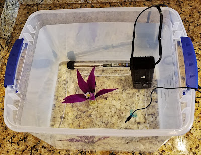 How to make a quarantine tank using a Rubbermaid clear plastic storage tote box