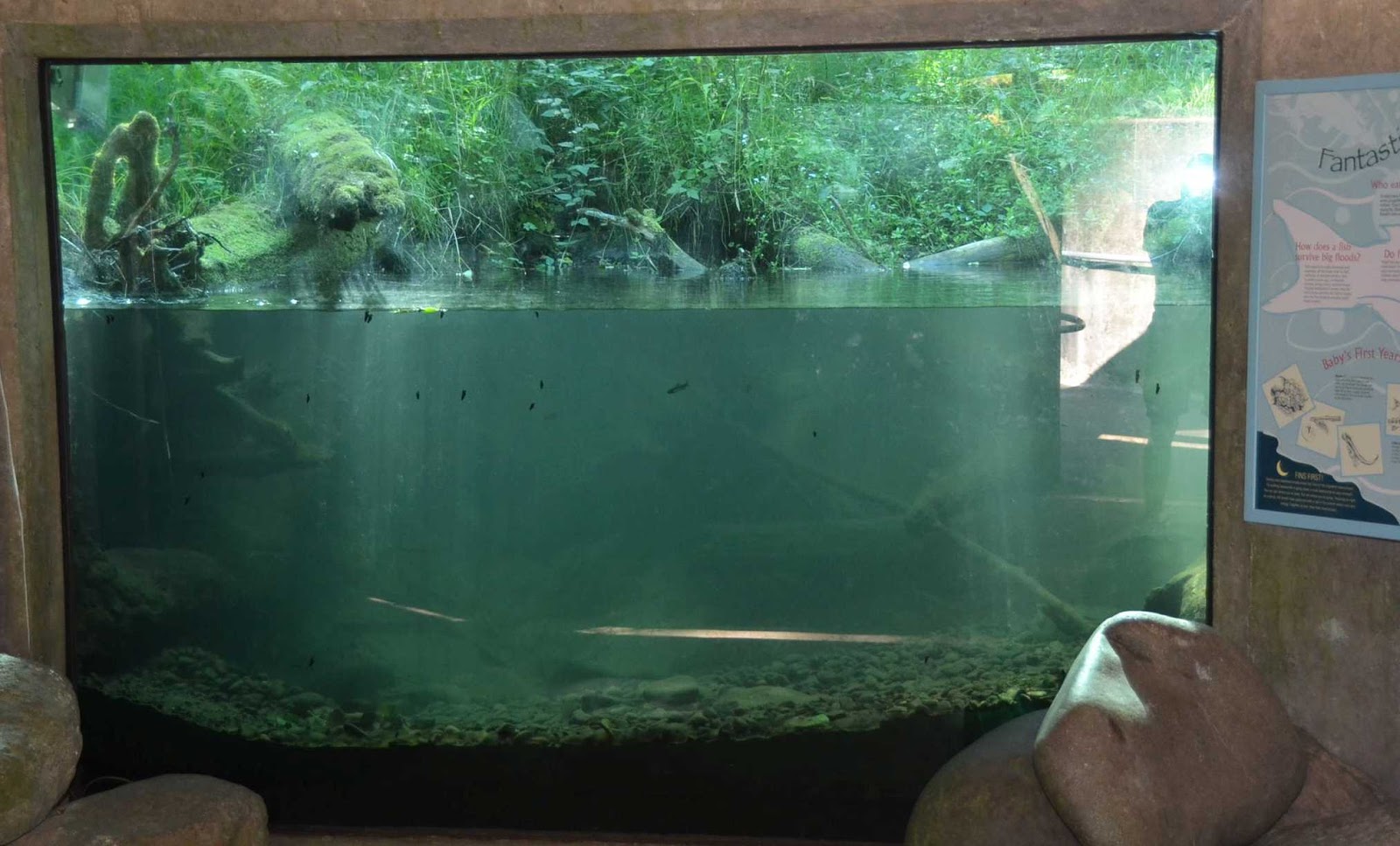 Zoo and Aquarium Design