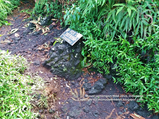 Pendakian Gunung Lemongan via Klakah