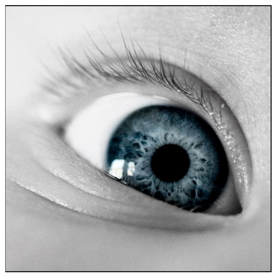 farmaceuticainmavinue