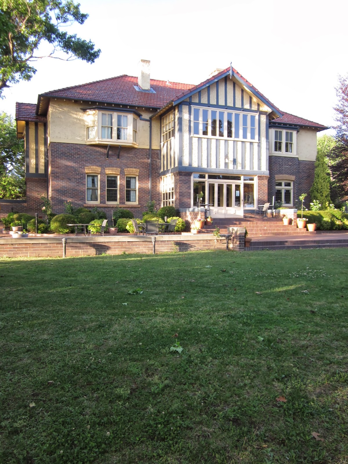 Future Plants By Randy Stewart Escallonia