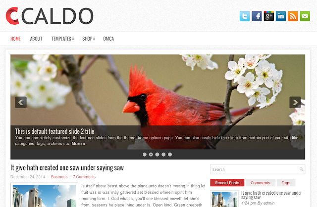 Caldo WordPress Theme Free