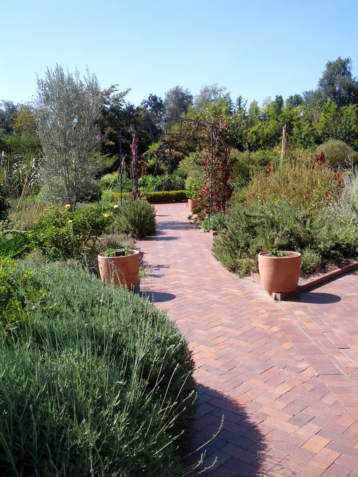 Rikachuuable Huntington Beach Botanical Gardens