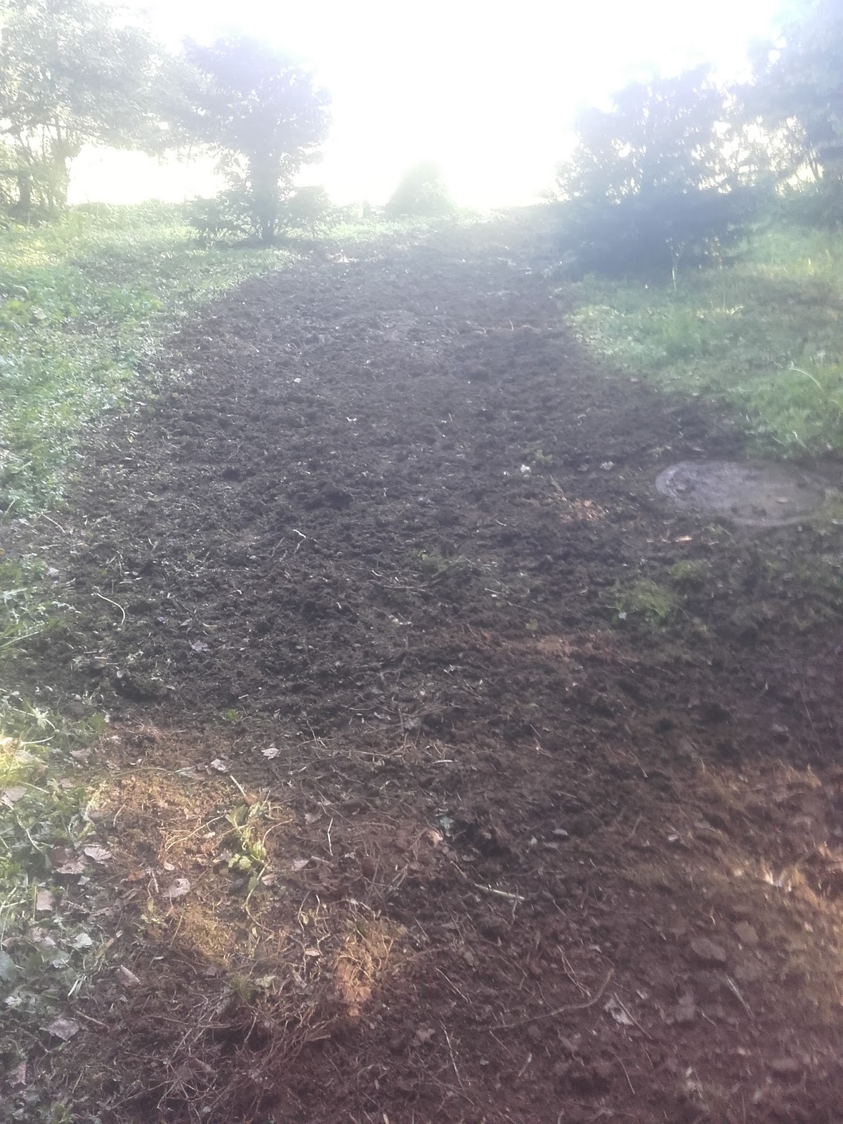 Praxisjahr 2016 17 Muller Nurtingen De 2017