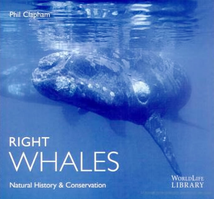 Whale Watching Season Book - Right Whales by Phil Clapham