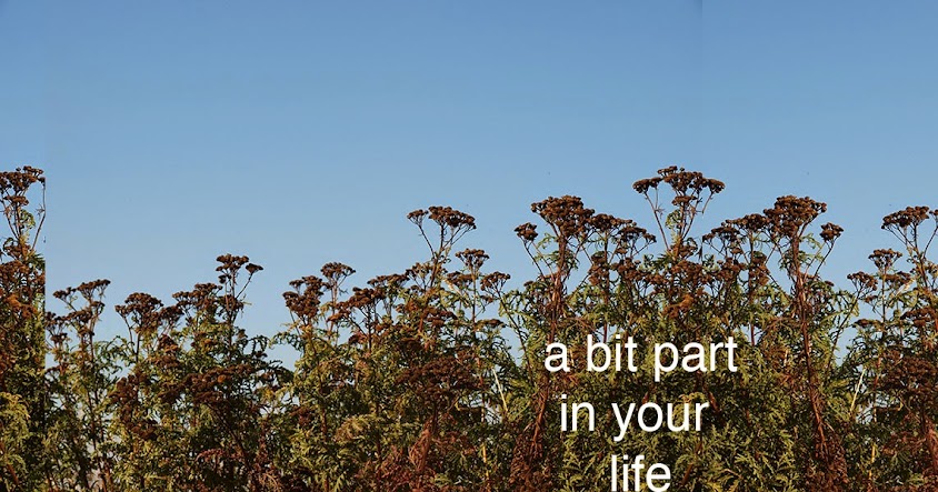 A bit part in your life