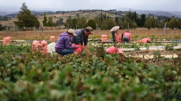 Conferencia: Colombia para el desarrollo de la agricultura colombiana