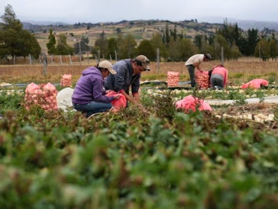 Conferencia: Colombia para el desarrollo de la agricultura colombiana