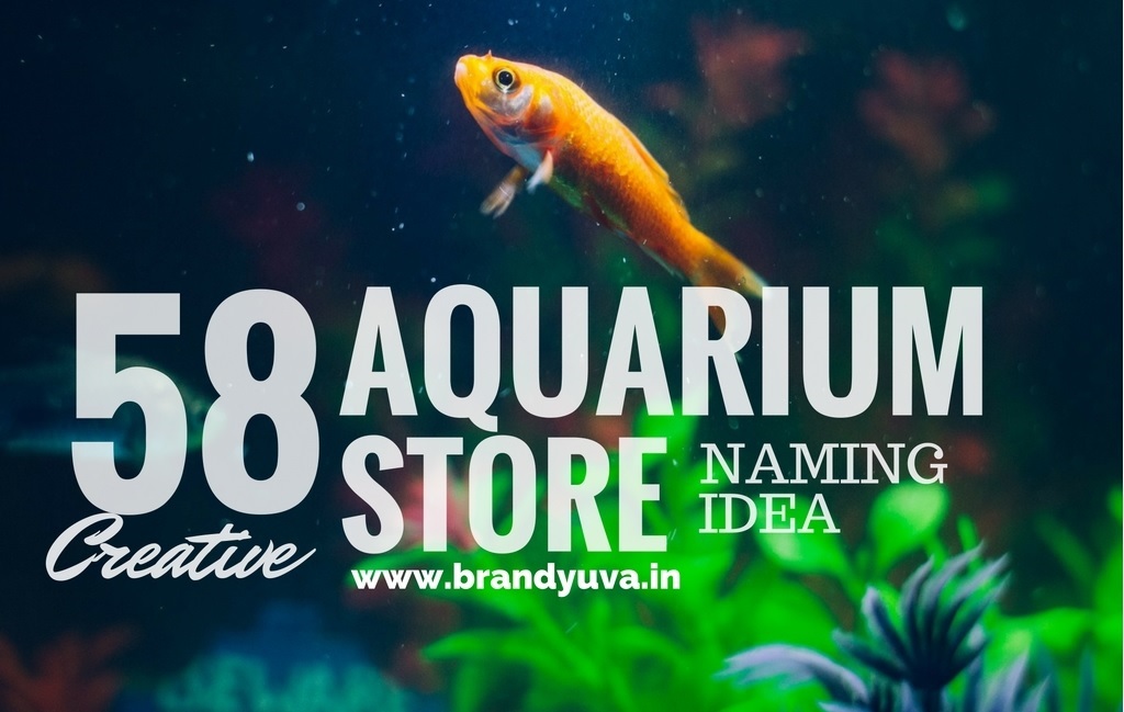 58 Best Aquarium Shop Names Idea Brandyuva in 58 Best Aquarium Shop Names Idea Brandyuva in