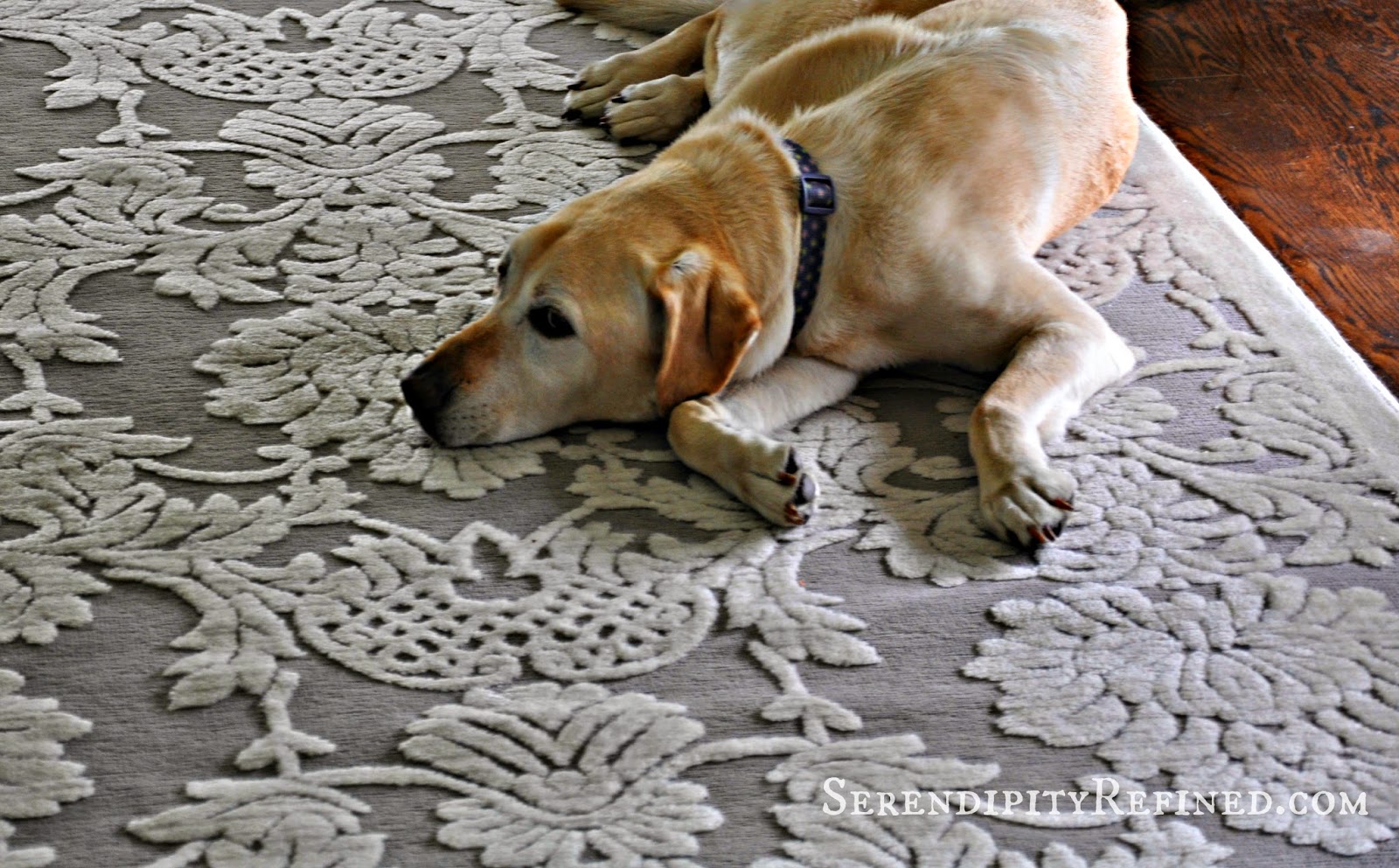 Serendipity Refined Blog Gray and Ivory Dining Room Area Rug