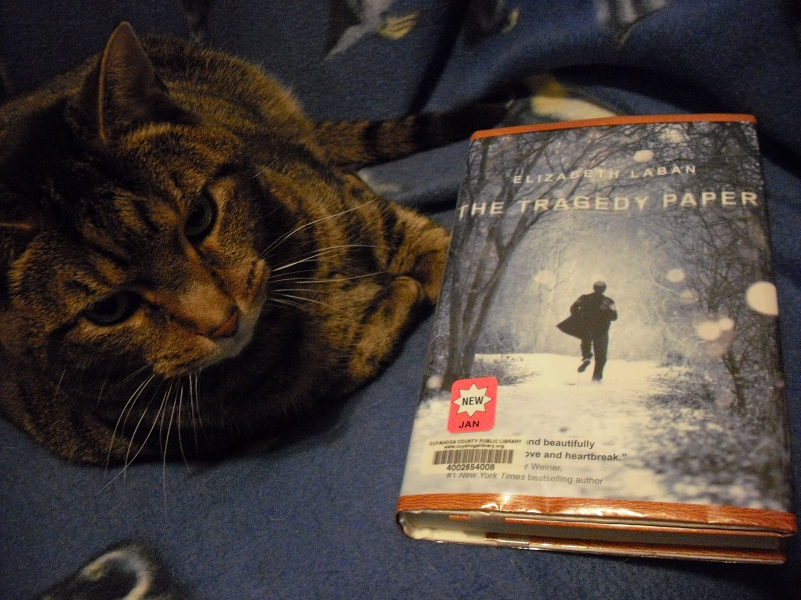 Grab A Book From Our Stack "The Tragedy Paper" by Elizabeth Laban (YA)