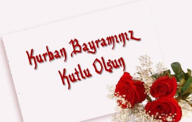 turkmen habar gullugy