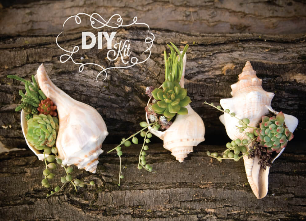 Do it yourself ideas and projects 20 DIY Shell Decor Ideas To Make