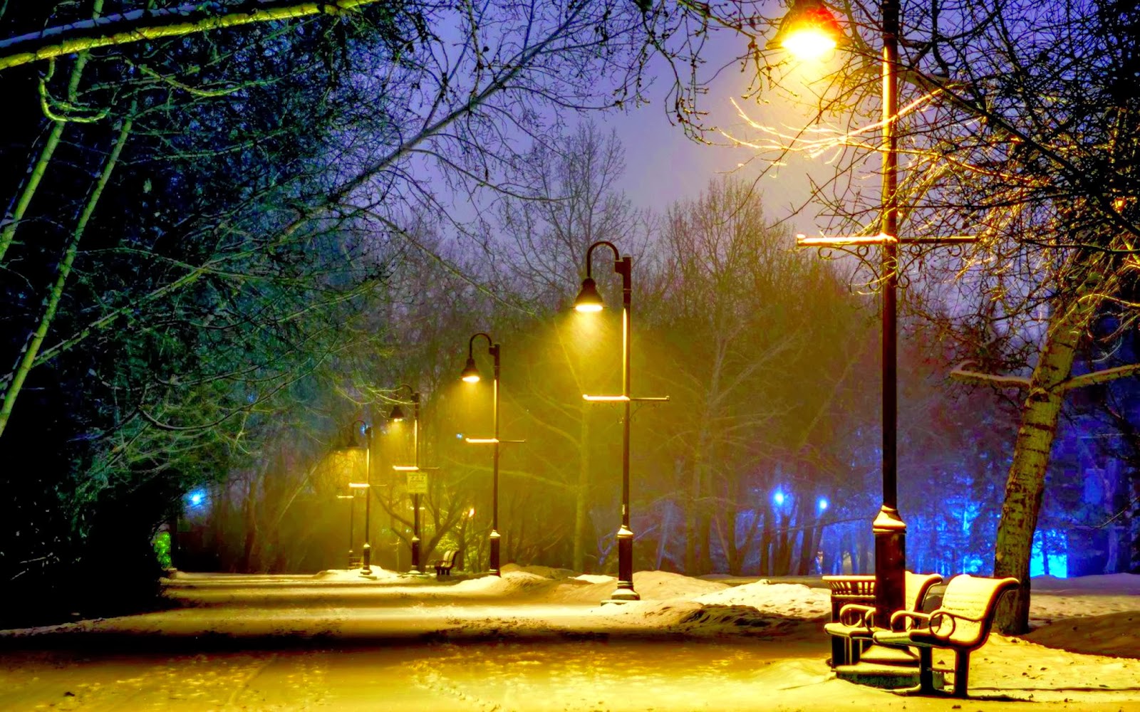 Missing Beats of Life: Winter Season At Night HD Wallpaper