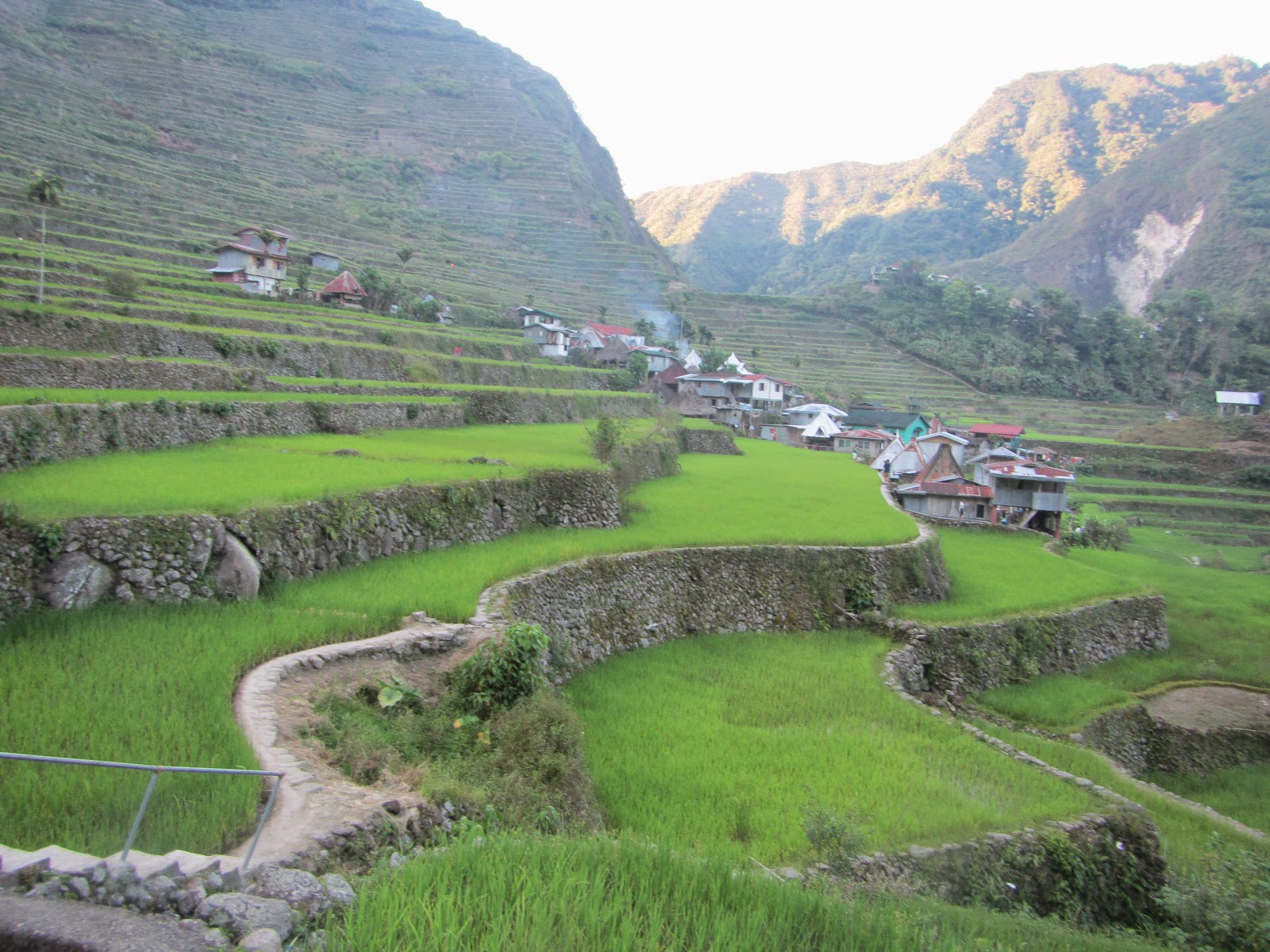 LEXICAL CROWN: BATAD RICE TERRACES