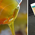 How to Detect Fake Honey (It’s Everywhere), Use THIS Simple Trick