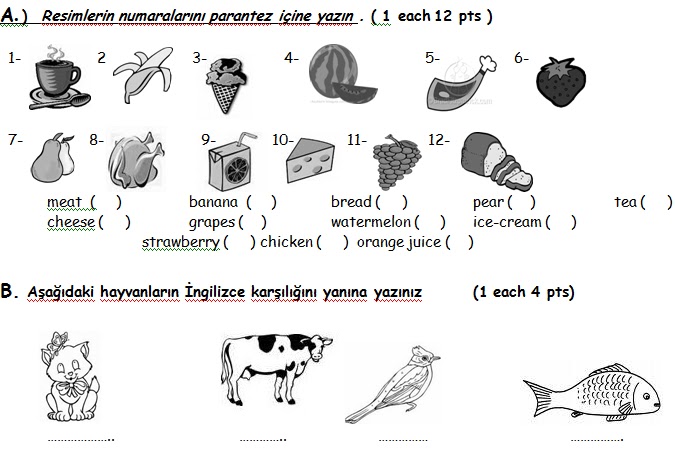 4. Sinif İngilizce 2. Dönem 1. Yazılı Sınavı - Ders ve Çalışma Kitabı