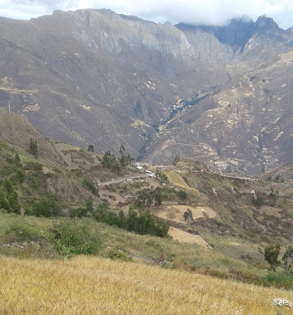 Cullcuy