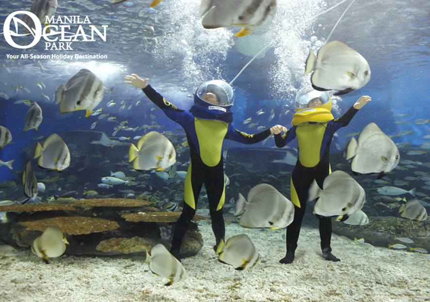 Manila Shopper Manila Ocean Park Promo for Birthday Celebrators til