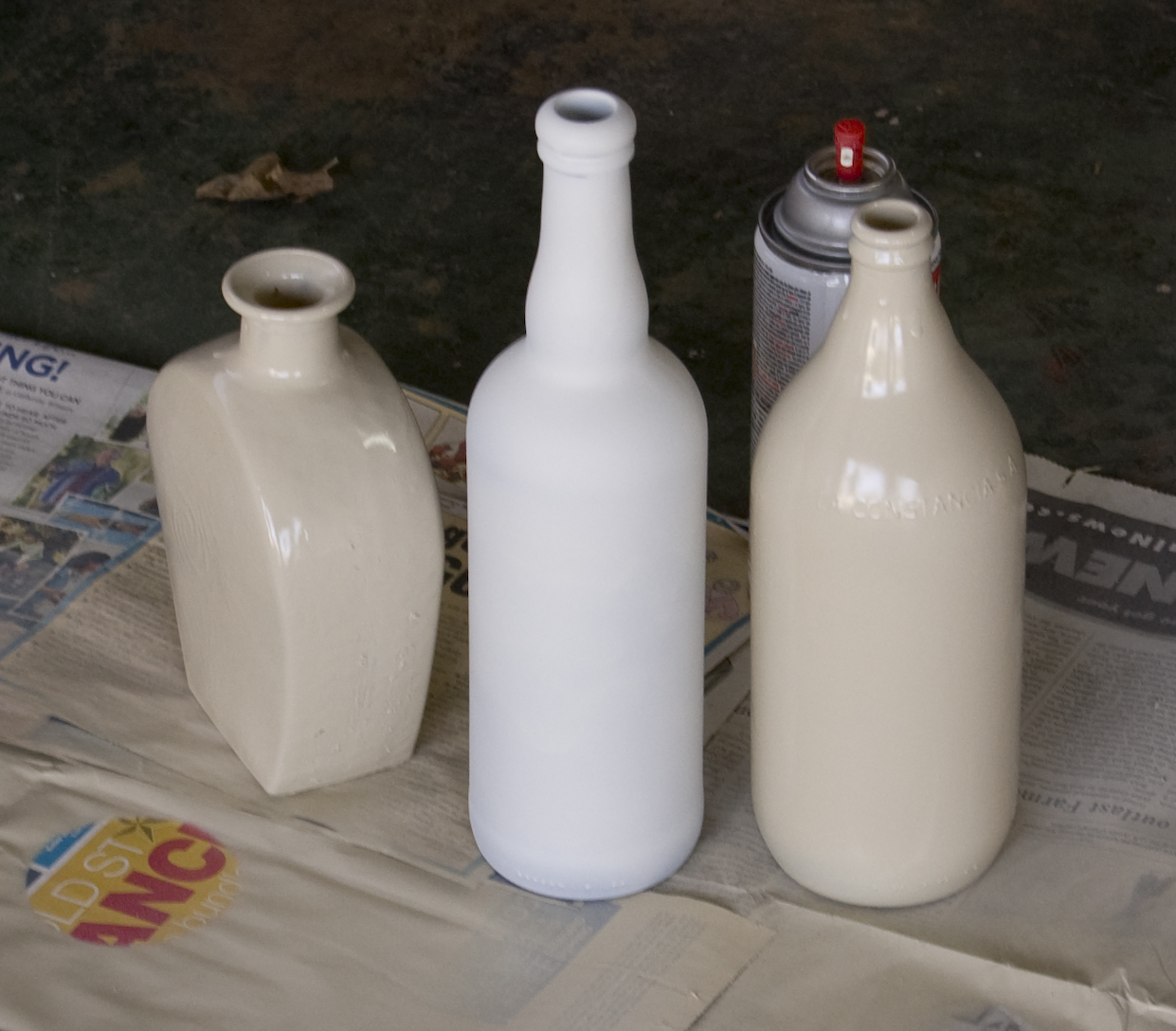 My CRay of Life Bottle Spray Painting