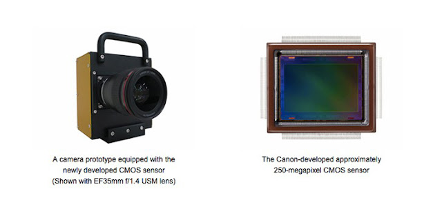 Michael Daniel Ho - The Wildlife Ho-tographer: Canon Develops 250MP APS