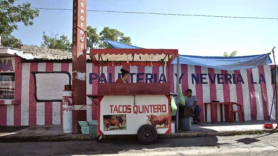 Mi viaje al rancho El Búfalo