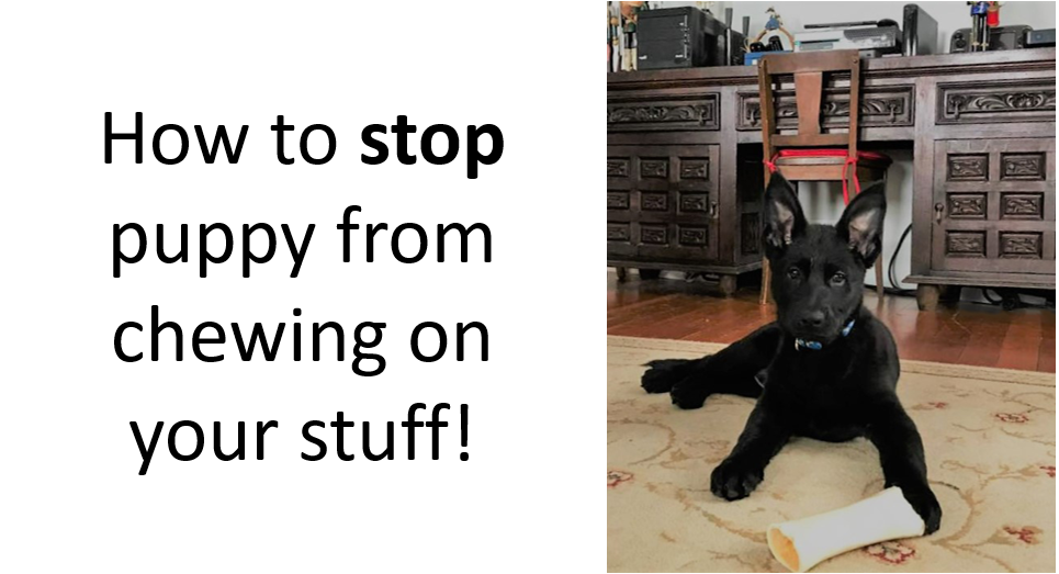 How To Stop Puppy From Chewing On Your Stuff Grandchawhee Reviews Pets