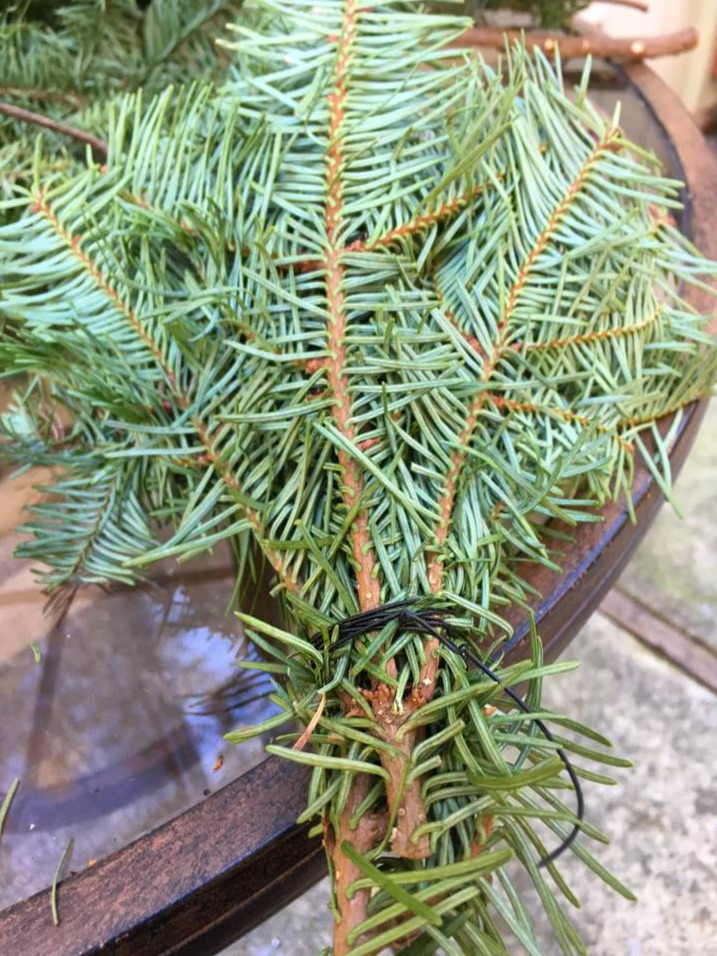 Shoestring Elegance Make Your Own Wreath From Your Christmas Tree Clippings!