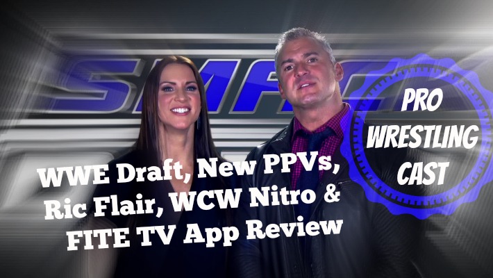 Pro Wrestling Cast WWE Draft and PPVs, Ric Flair, WCW Pro Wrestling Cast WWE Draft and PPVs, Ric Flair, WCW
