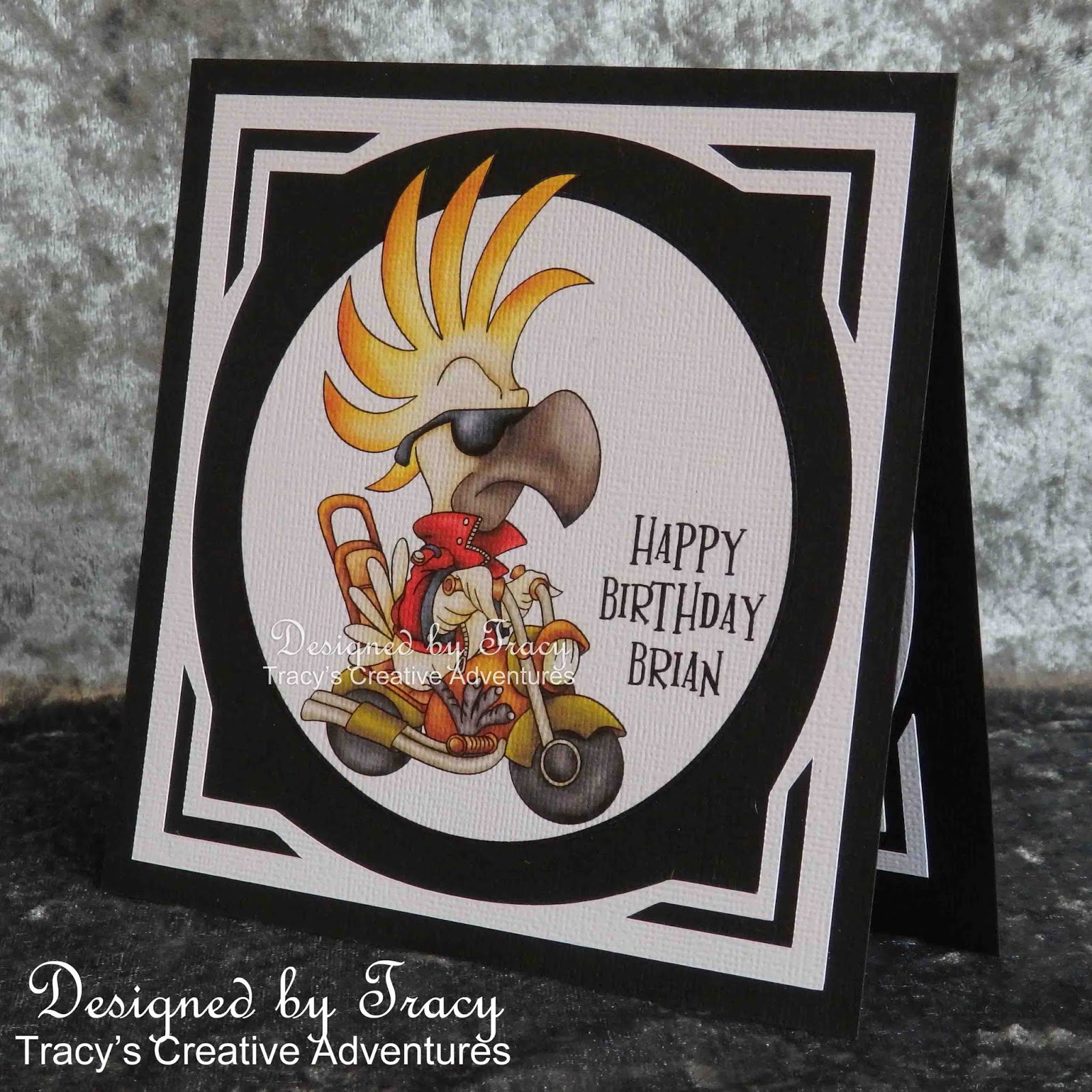 Tracy's Creative Adventures Birthday Wishes . . . for a Cool Dude