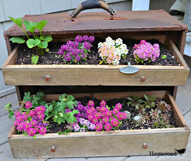 Fill a rusty vintage toolbox with dirt and flowers