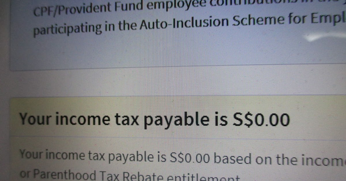 tax payable and donation. A Singaporean Stocks Investor (ASSI)