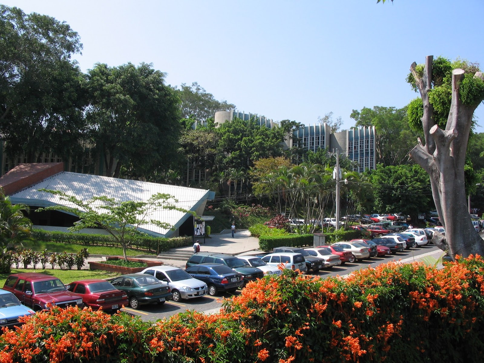 Historia del Arte de C. A.